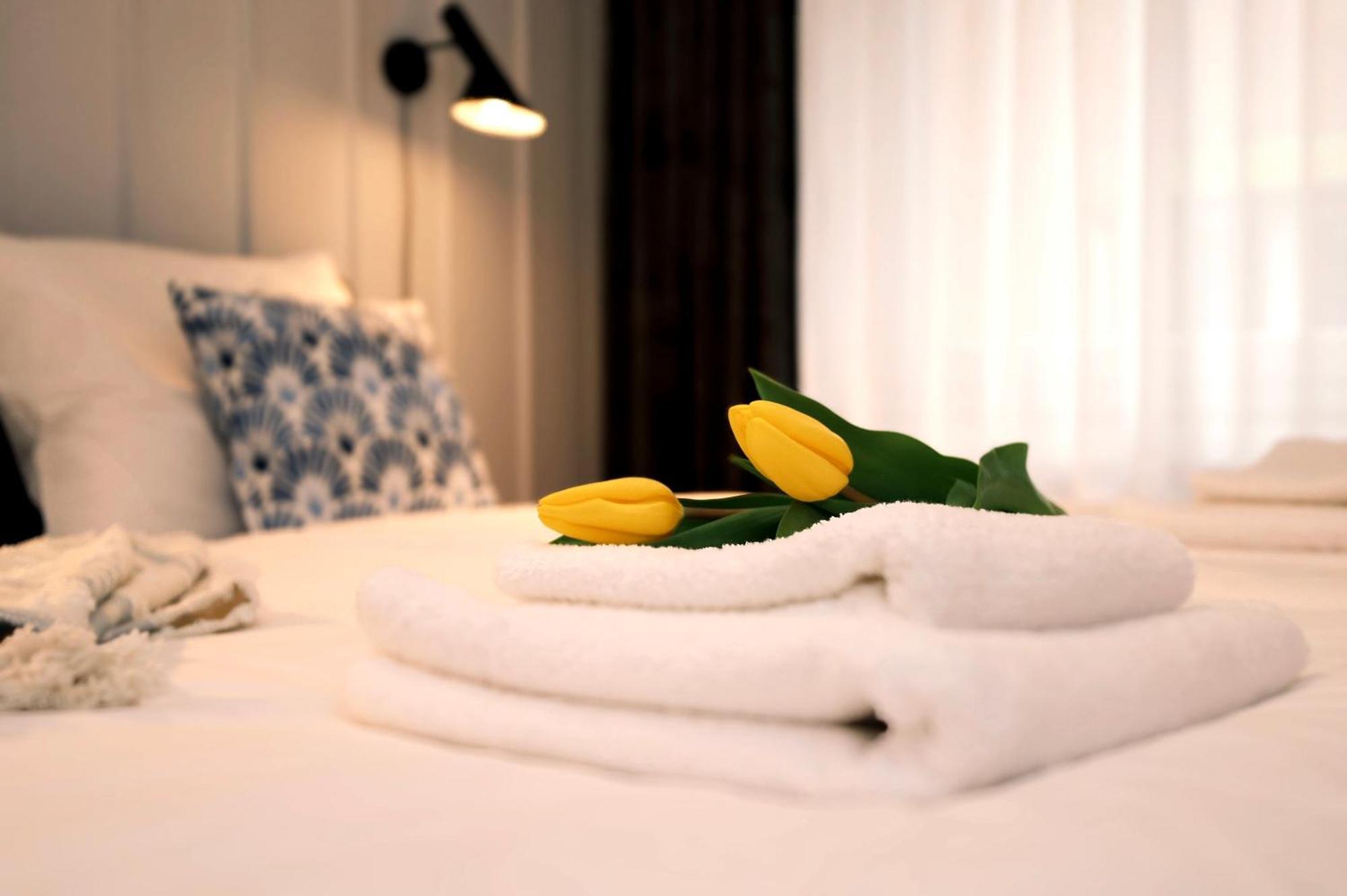 Zur Burg Apartman Bad Bentheim Kültér fotó